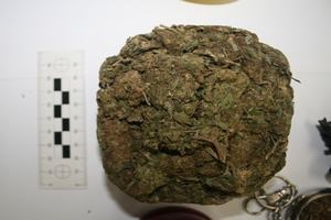 Slika Droga/droga-opatija (1).JPG